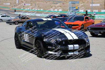 media/May-07-2022-Cobra Owners Club of America (Sat) [[e681d2ddb7]]/Around the Pits/